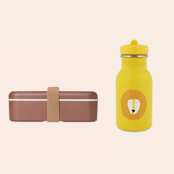 Children&#039;s drinking bottle &amp; lunchbox set, lion