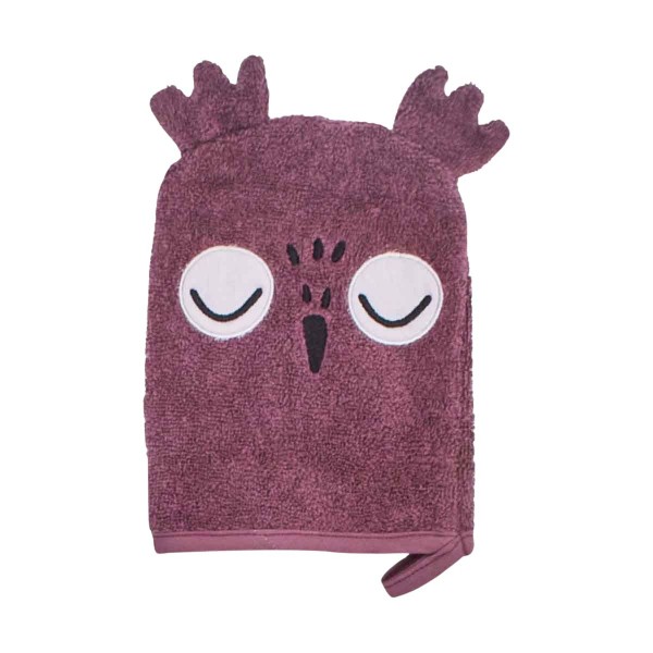 Washcloth, Professor Owl